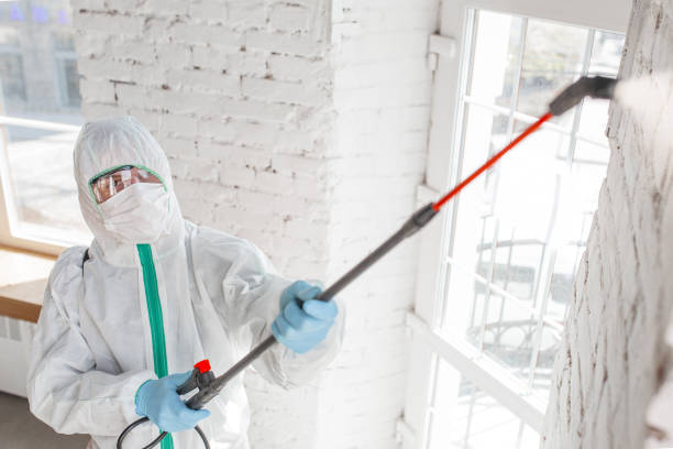 Best Air Quality Testing for Mold Spores  in Waverly, NE
