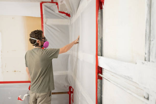 Reliable Waverly, NE Mold Removal Solutions