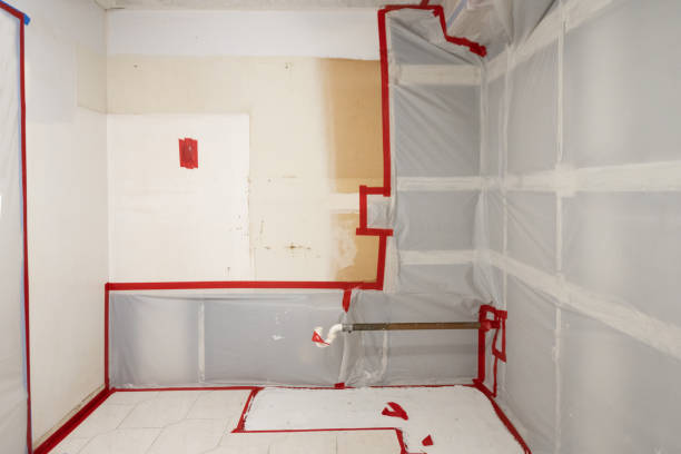 Best Mold Damage Restoration  in Waverly, NE