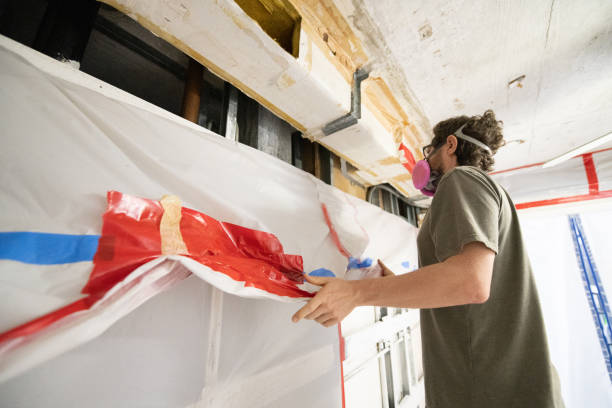 Best Black Mold Removal  in Waverly, NE