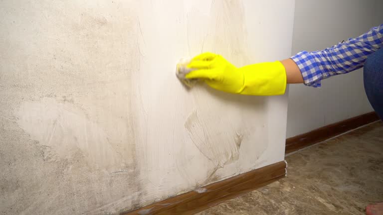 Best Commercial Mold Inspection  in Waverly, NE