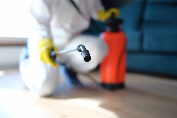 Best Mold Documentation for Insurance Claims  in Waverly, NE