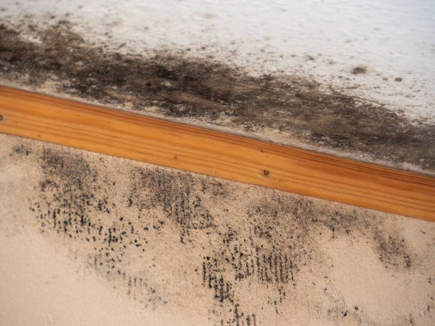 Best Indoor Air Quality Assessment  in Waverly, NE