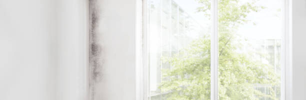Best Residential Mold Inspection & Testing  in Waverly, NE