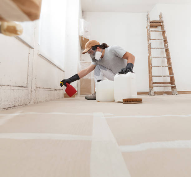 Best Attic Mold Removal  in Waverly, NE